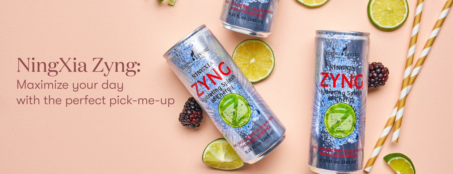 NingXia Zyng